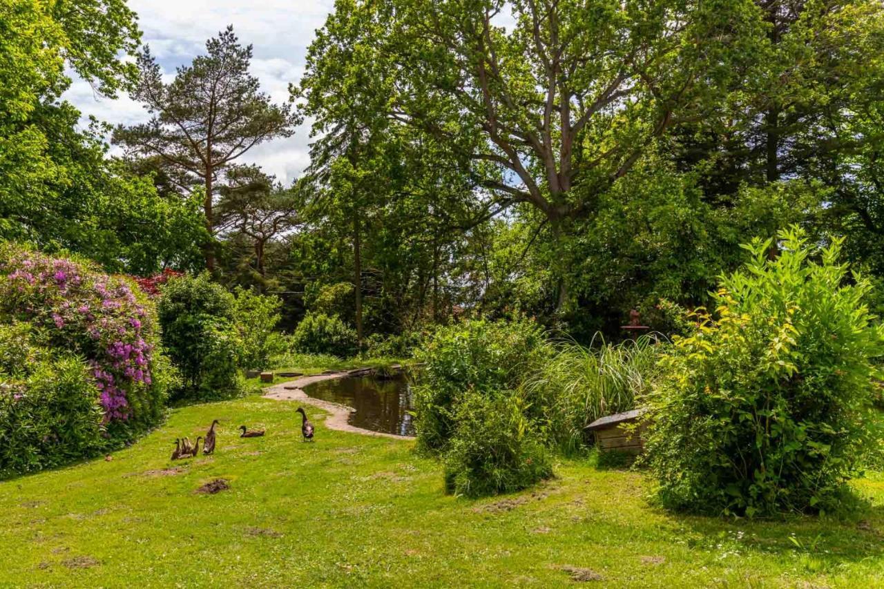 Host & Stay - The Eiders Aylmerton Экстерьер фото